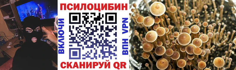 даркнет наркотические препараты  Ленск  Галлюциногенные грибы Psilocybine cubensis  KRAKEN рабочий сайт 
